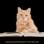 Katzencampus -Die faszinierende Welt unserer Katzen