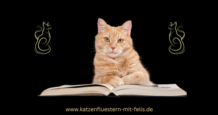 Katzencampus -Die faszinierende Welt unserer Katzen